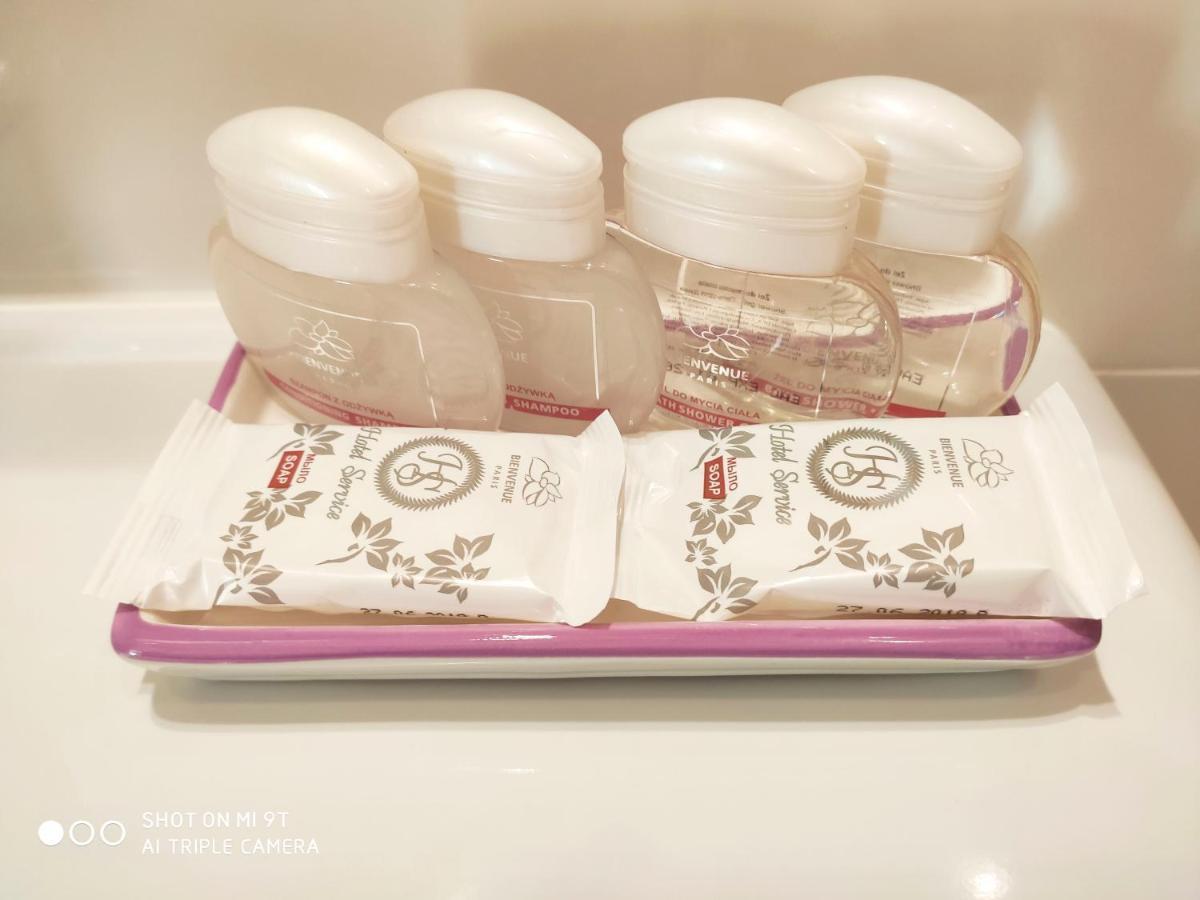 Comfort Apartments - Bright Family Suite グロドノ エクステリア 写真
